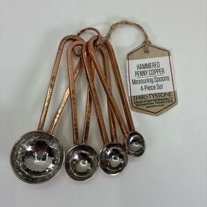 Thirstystone Hammered Penny Copper & Stainless Steel Measuring Spoons NWT